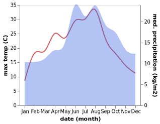 temperature and rainfall during the year in Wielen