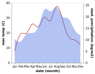 temperature and rainfall during the year in Neubruck