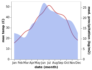 temperature and rainfall during the year in Nea Palatia