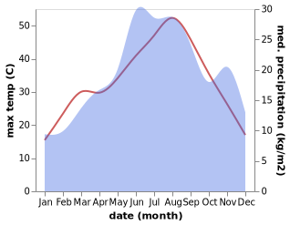 temperature and rainfall during the year in Ano Kamila