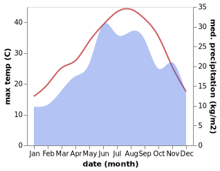 temperature and rainfall during the year in Ayios Vasilios