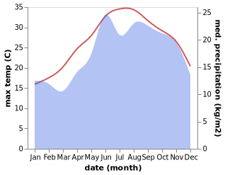 temperature and rainfall during the year in Agia Marina