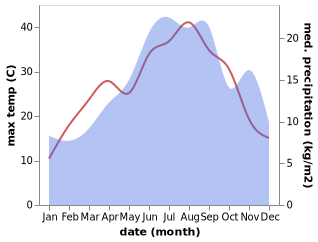 temperature and rainfall during the year in Agios Ioannis