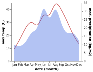 temperature and rainfall during the year in Algyo