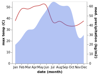 temperature and rainfall during the year in Etikoppaka