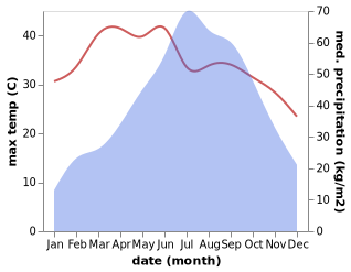 temperature and rainfall during the year in Pasighat