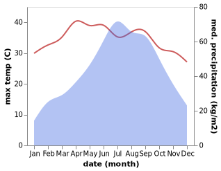 temperature and rainfall during the year in Dum Duma