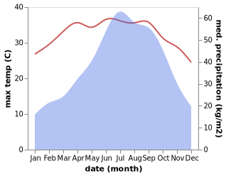 temperature and rainfall during the year in Mariani