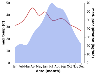 temperature and rainfall during the year in Palasbari