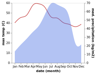 temperature and rainfall during the year in Bali Chak