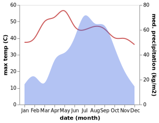 temperature and rainfall during the year in Baisi