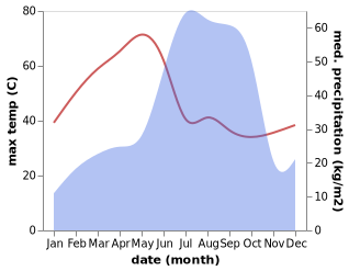 temperature and rainfall during the year in Arang