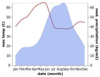 temperature and rainfall during the year in Palitana