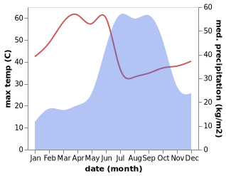 temperature and rainfall during the year in Pachora