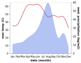 temperature and rainfall during the year in Didwana