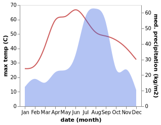 temperature and rainfall during the year in Dig