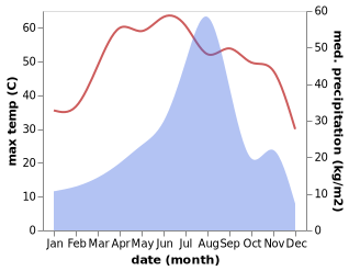 temperature and rainfall during the year in Sri Dungargarh