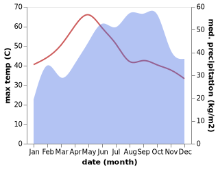 temperature and rainfall during the year in Arani