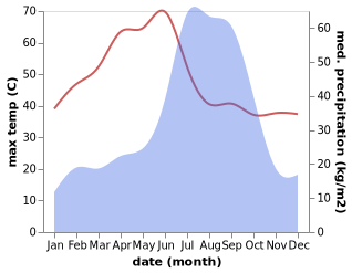 temperature and rainfall during the year in Obra