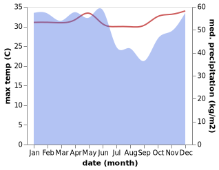 temperature and rainfall during the year in Tanjungpandan