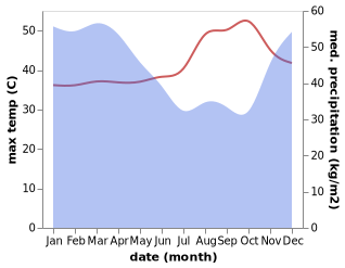 temperature and rainfall during the year in Dopang