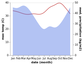 temperature and rainfall during the year in Mertoyudan