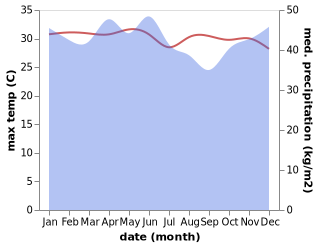 temperature and rainfall during the year in Palu