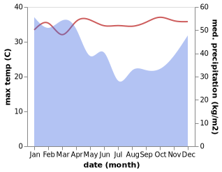 temperature and rainfall during the year in Bambor