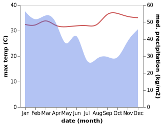 temperature and rainfall during the year in Detusoko