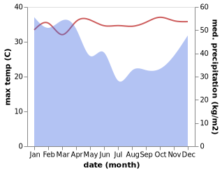 temperature and rainfall during the year in Golondalas