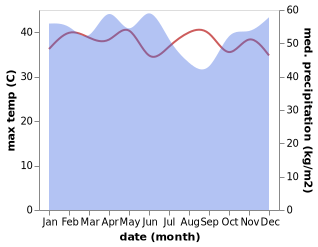 temperature and rainfall during the year in Airmolek