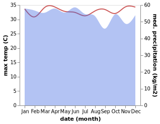 temperature and rainfall during the year in Bintuni