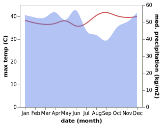 temperature and rainfall during the year in Birayang