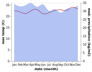 temperature and rainfall during the year in Bokondini