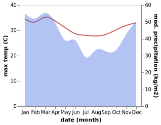 temperature and rainfall during the year in Doro Kessi