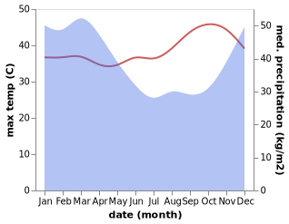 temperature and rainfall during the year in Jatiroto