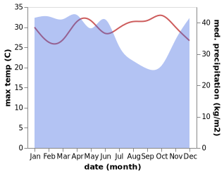 temperature and rainfall during the year in Muarapinang