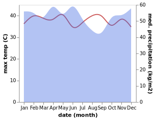 temperature and rainfall during the year in Pangkalankasai