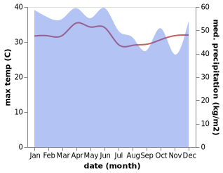 temperature and rainfall during the year in Piru