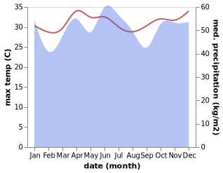 temperature and rainfall during the year in Lirung