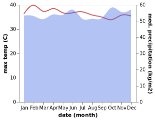 temperature and rainfall during the year in Singkil