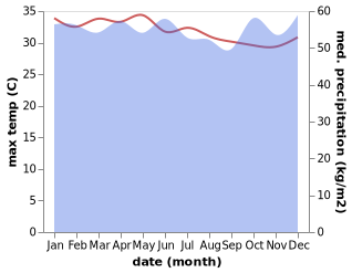 temperature and rainfall during the year in Telukdalam