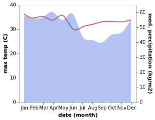 temperature and rainfall during the year in Batulicin