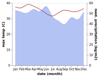 temperature and rainfall during the year in Malili