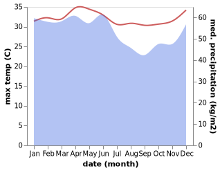 temperature and rainfall during the year in Padangsappa