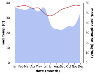 temperature and rainfall during the year in Taccipi