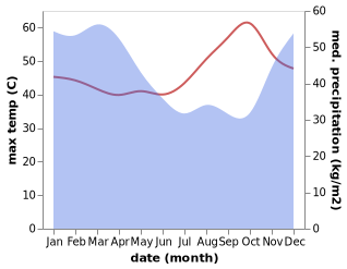 temperature and rainfall during the year in Ngawi