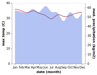 temperature and rainfall during the year in Teminabuan