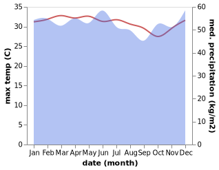 temperature and rainfall during the year in Painan