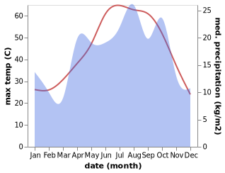 temperature and rainfall during the year in Lamerd